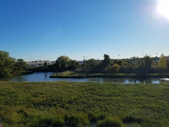 20161023_090550